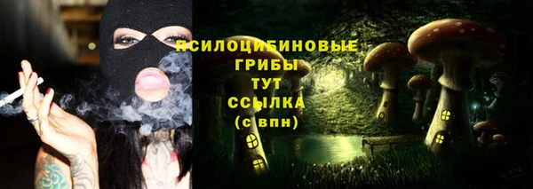 меф Алексин