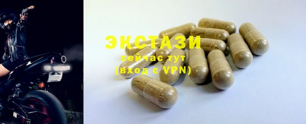 ECSTASY Алзамай