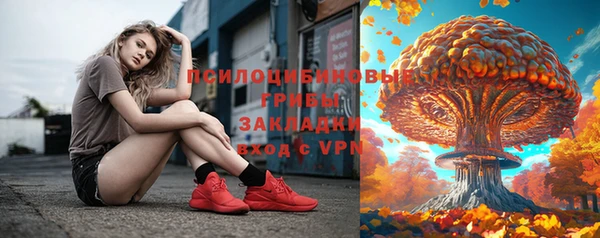 ECSTASY Алзамай