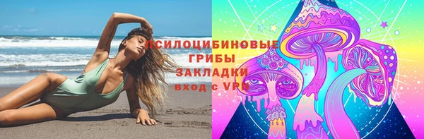 ECSTASY Алзамай