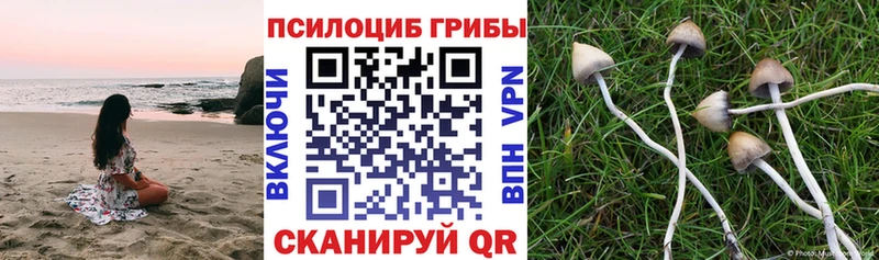 Псилоцибиновые грибы Psilocybine cubensis Рыбное